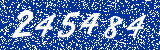 Capcha image