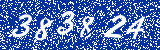 Capcha image